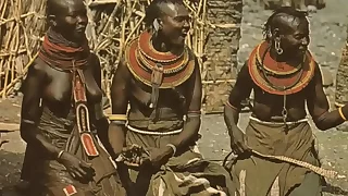 222 hairy porn videos